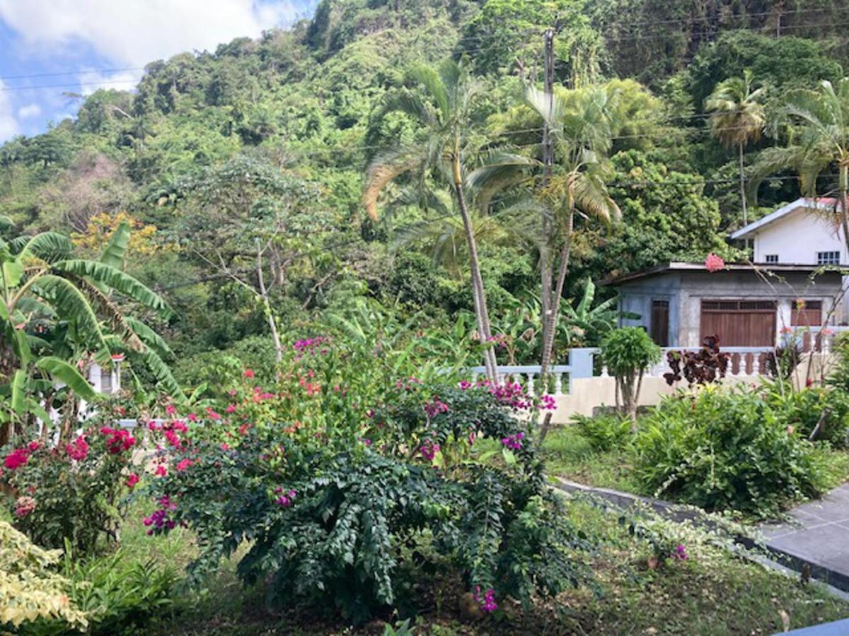 Stunning 2-Bed Apartment In Grand Roy Grenada Mount Nesbit Eksteriør bilde